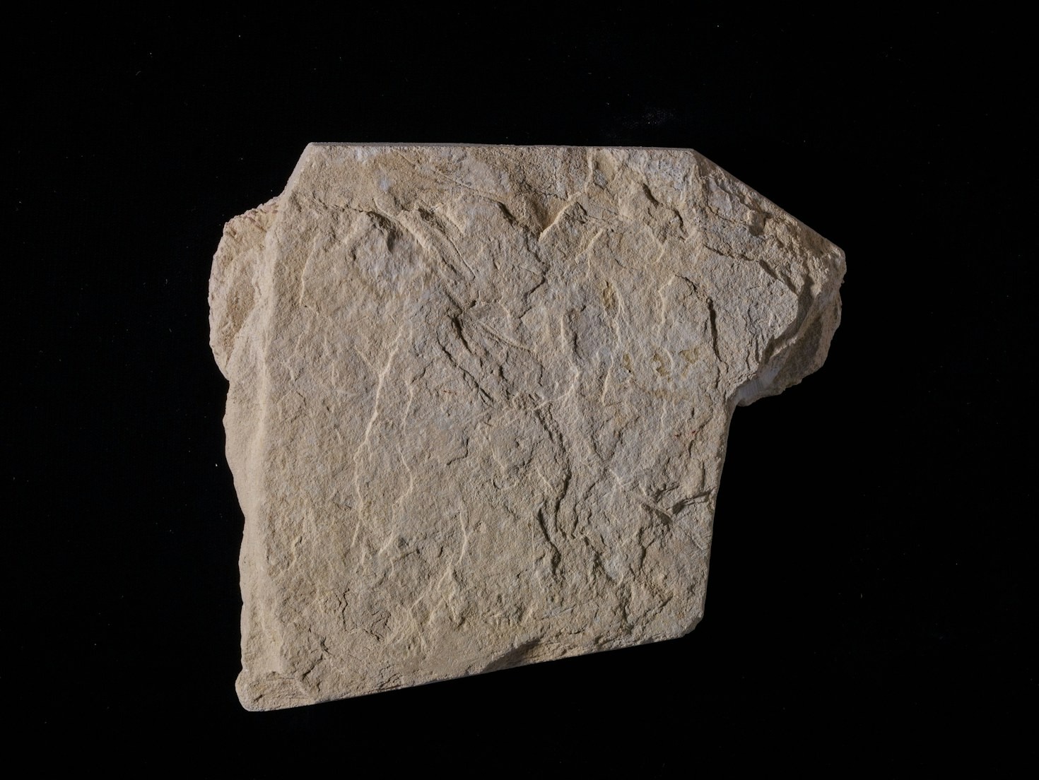 Top 10 najciekawszych znalezisk z przeszłości